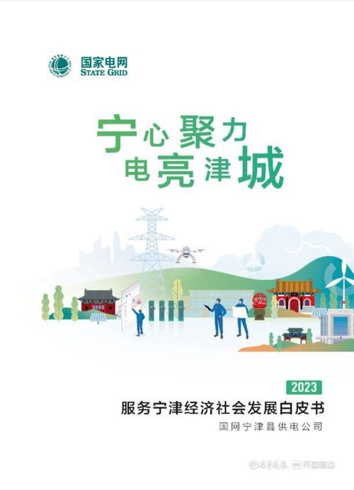 电能驱动发展 服务谱写新篇——宁津县供电公司2023上半年服务经济社会发展白皮书解读