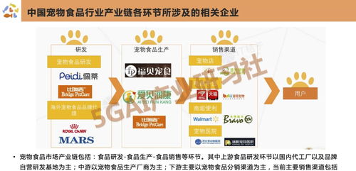 宠物经济爆发 中国宠物食品行业的崛起与社会经济咨询服务的角色